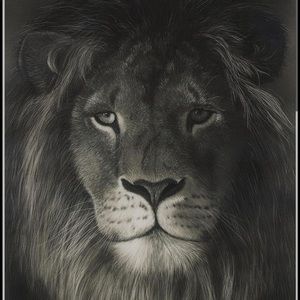 Meet your Posher, Cambree